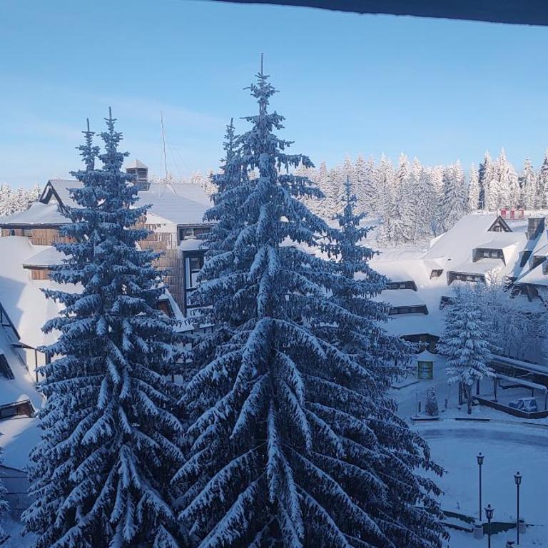 Kockica Kopaonik - Apartman sa 1 Spavaćom Sobom - 6