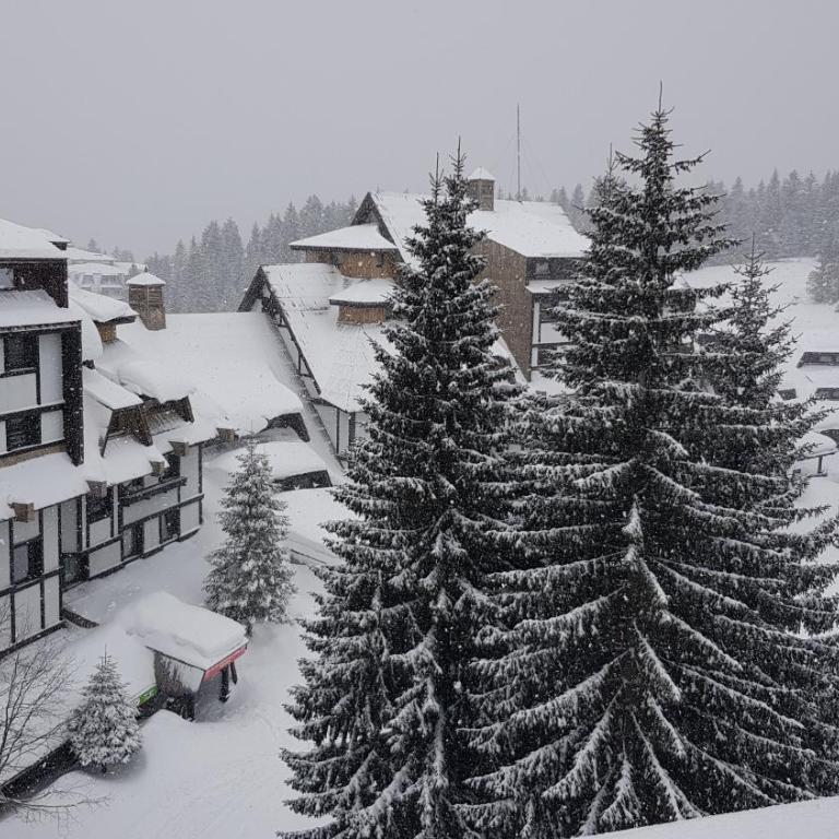 Kockica Kopaonik - Apartman sa 1 Spavaćom Sobom - 8