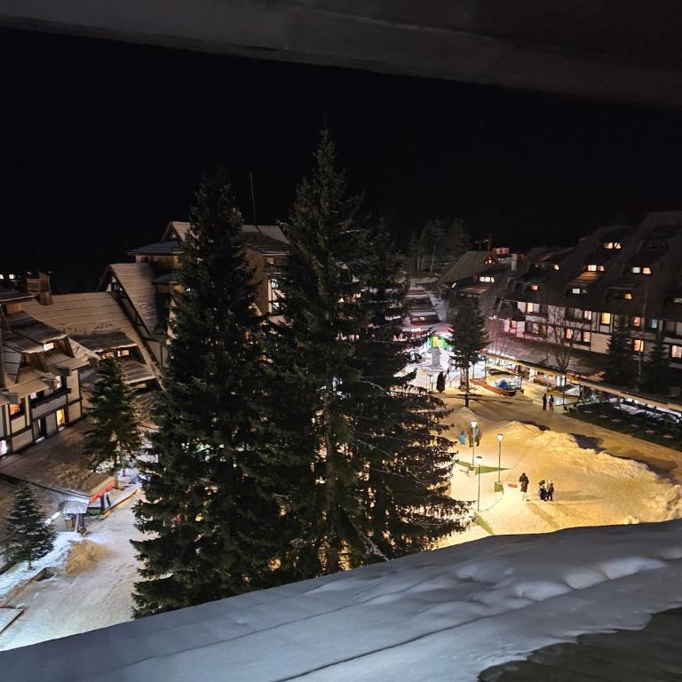 Kockica Kopaonik - Apartman sa 1 Spavaćom Sobom - 9