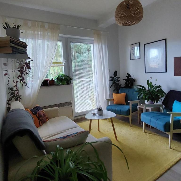 Apartman Šareni kutak Pale - Apartment mit 1 Schlafzimmer - 4