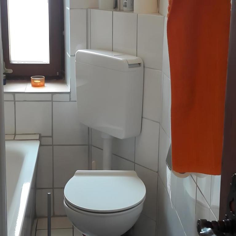 Schöne Altbauwohnung Zentral - Superior One-Bedroom Apartment - 8