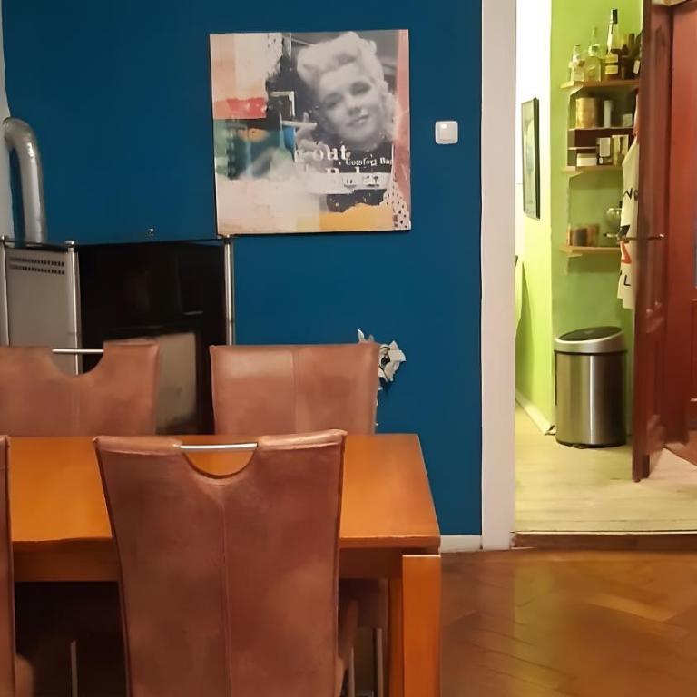 Schöne Altbauwohnung Zentral - Superior One-Bedroom Apartment - 1