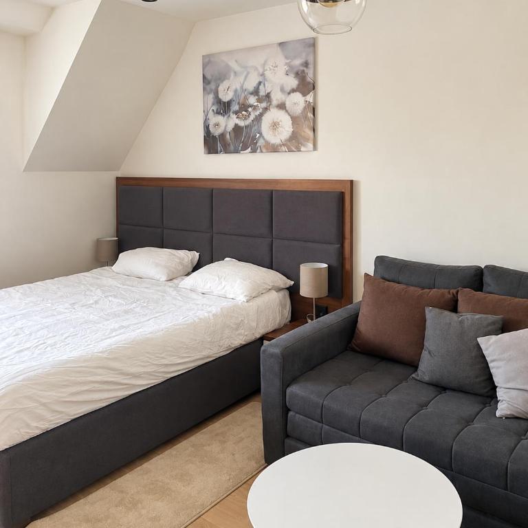 Velvet Kopaonik - One-Bedroom Apartment - 38