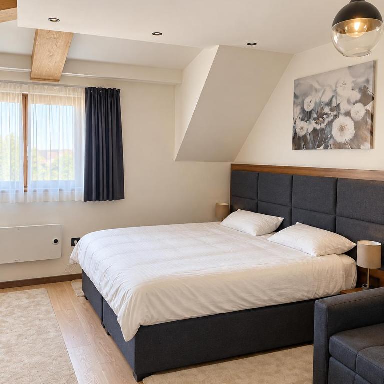Velvet Kopaonik - One-Bedroom Apartment - 2
