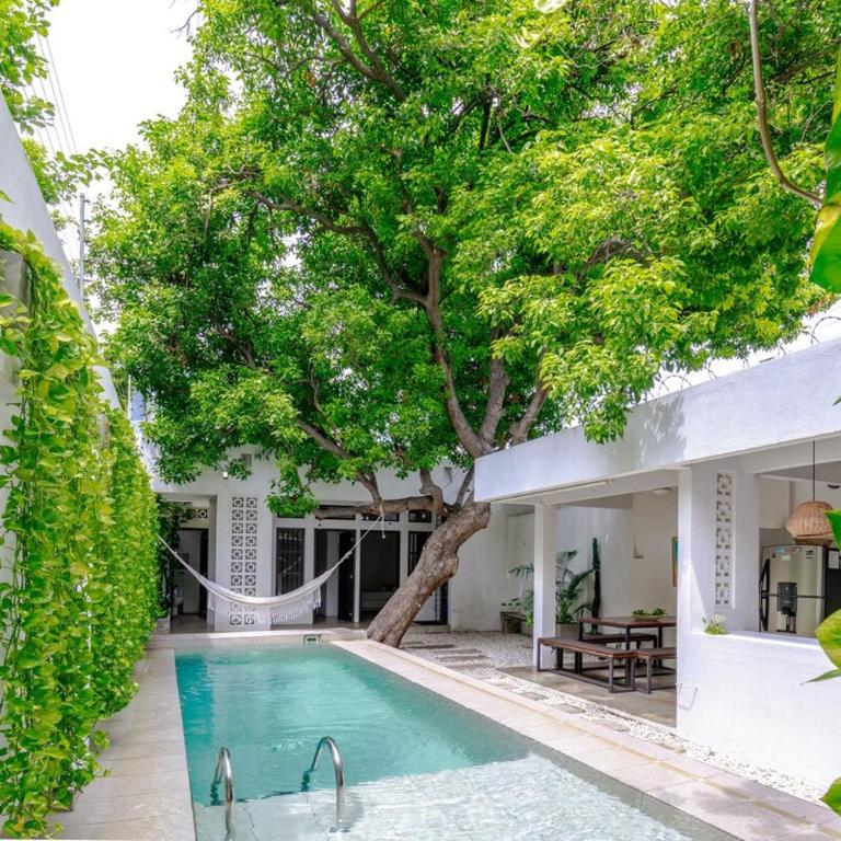 Casa Palenque - Amazing retreat with private pool - Casa de 4 dormitorios - 6