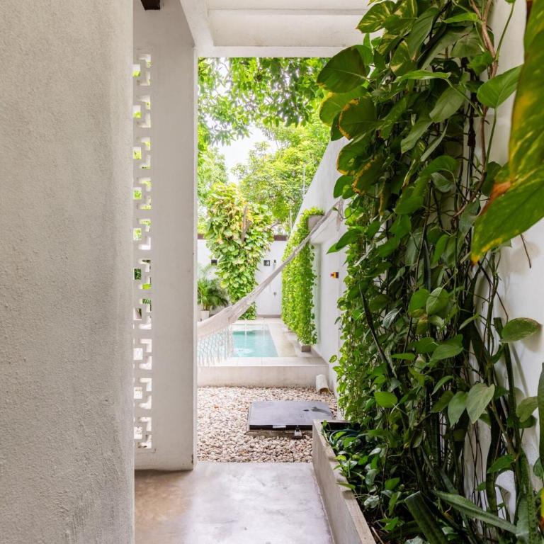 Casa Palenque - Amazing retreat with private pool - Casa de 4 dormitorios - 23