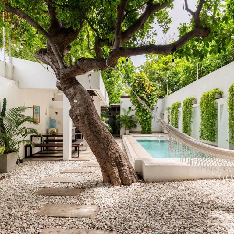Casa Palenque - Amazing retreat with private pool - Casa de 4 dormitorios - 30