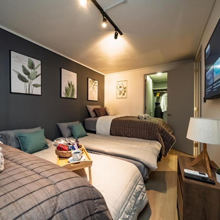 Ñuñoa 2 bedroom for 6 Parking Air Conditioning - Apartamento de 2 dormitorios - 12
