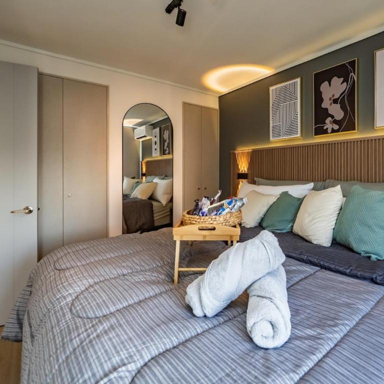 Ñuñoa 2 bedroom for 6 Parking Air Conditioning - Apartamento de 2 dormitorios - 37