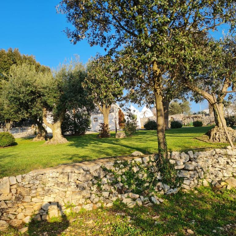 B&B Trullandia - Camera Familiare - 3