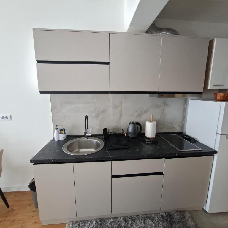 Field Alpine Studio Kolasin - Apartment mit 1 Schlafzimmer - 8