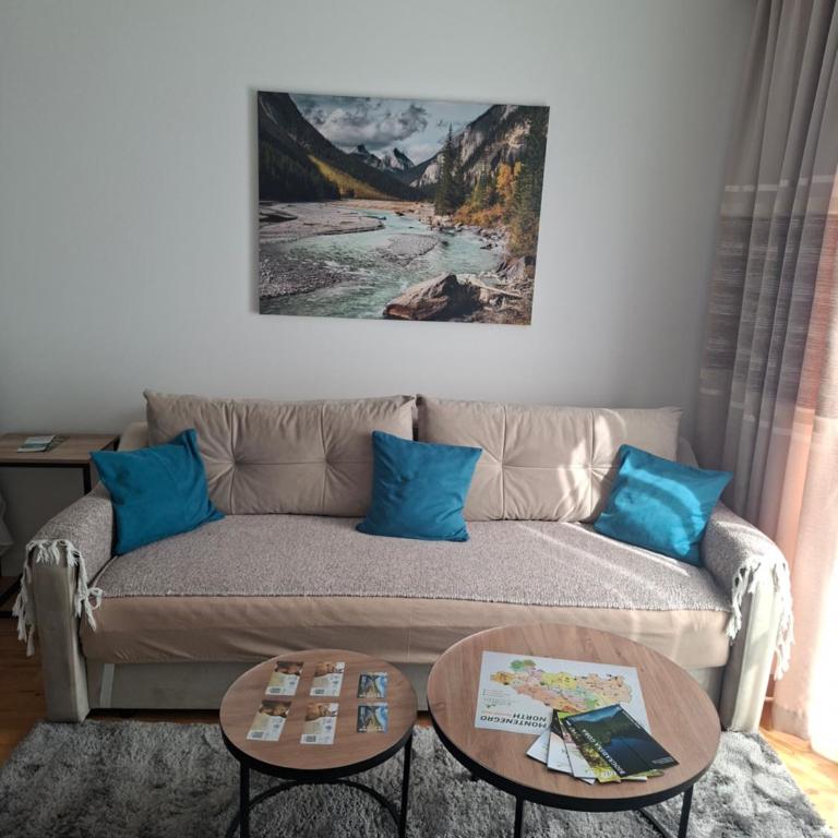 Field Alpine Studio Kolasin - Apartment mit 1 Schlafzimmer - 14