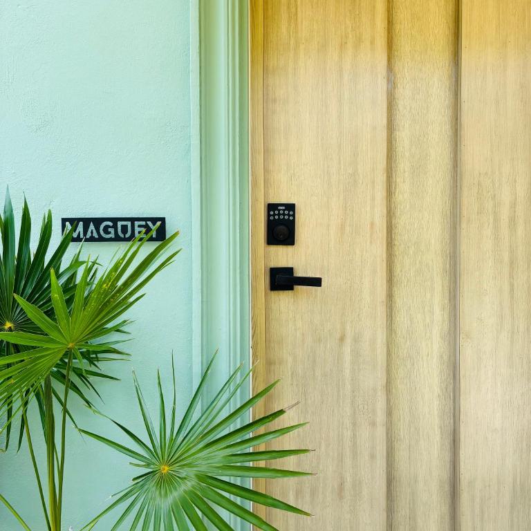 Casa Magu Merida - Suite Deluxe avec Lit King-Size - 15