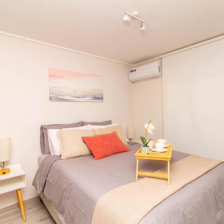 New and modern apartment Cerro Santa Lucia Metro - Apartamento de 2 dormitorios - 8