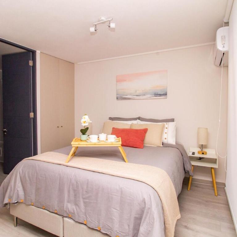 New and modern apartment Cerro Santa Lucia Metro - Apartamento de 2 dormitorios - 9