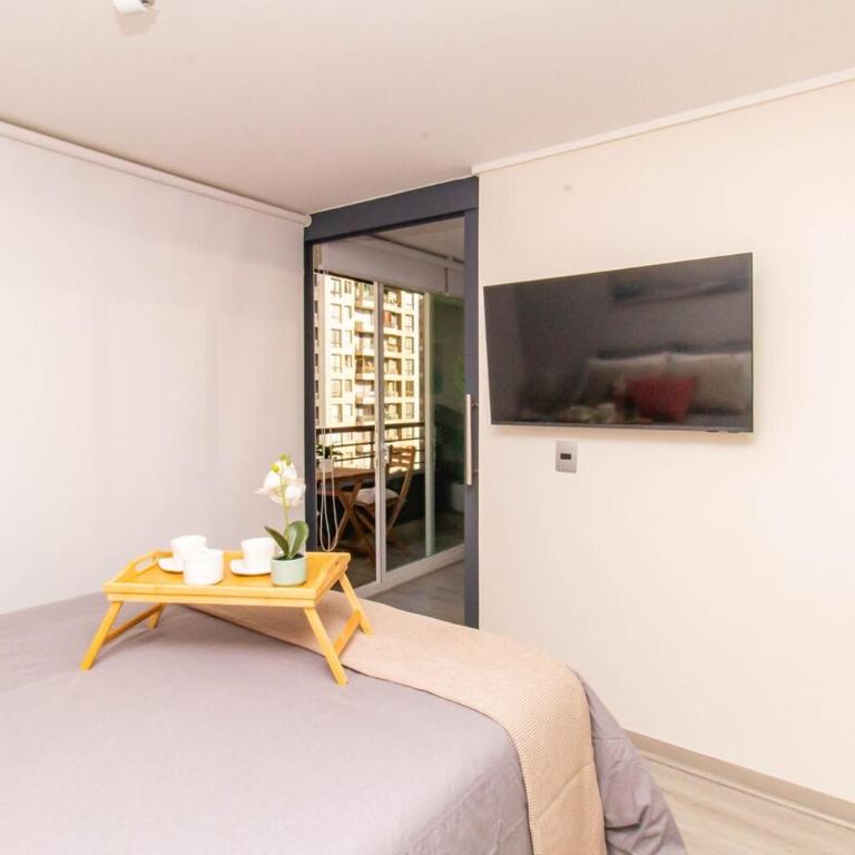 New and modern apartment Cerro Santa Lucia Metro - Apartamento de 2 dormitorios - 23
