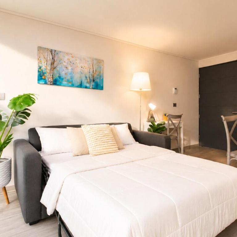 New and modern apartment Cerro Santa Lucia Metro - Apartamento de 2 dormitorios - 28