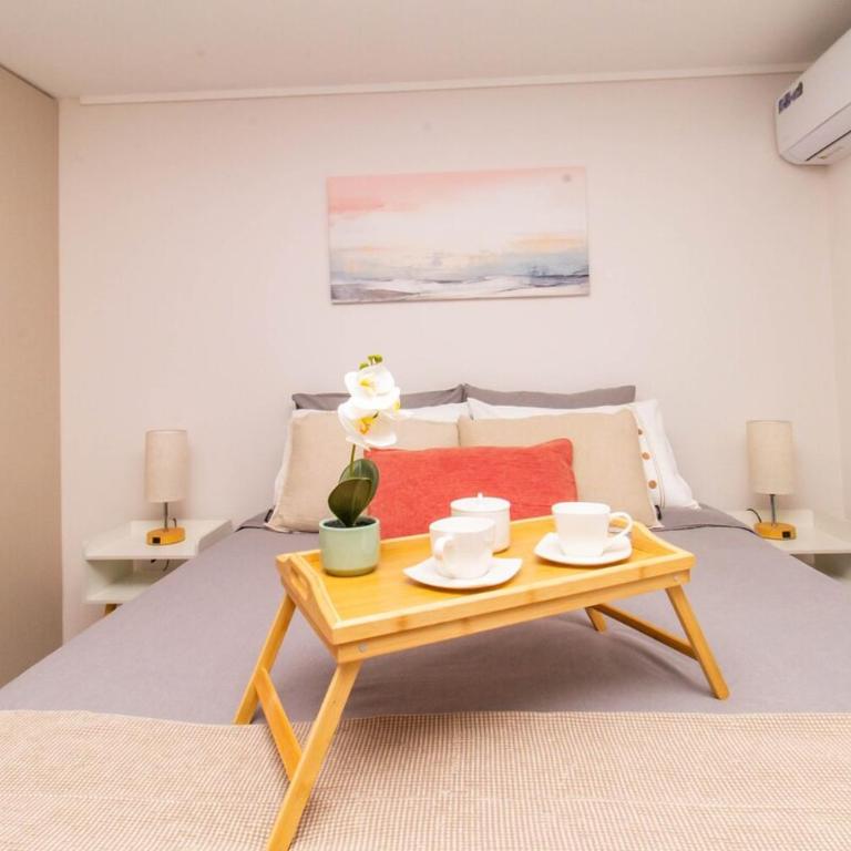 New and modern apartment Cerro Santa Lucia Metro - Apartamento de 2 dormitorios - 37