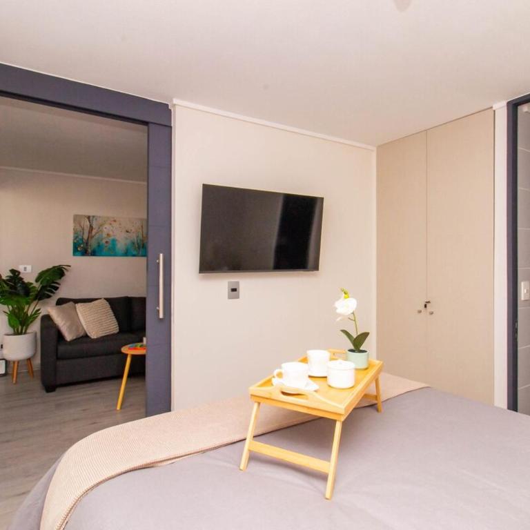 New and modern apartment Cerro Santa Lucia Metro - Apartamento de 2 dormitorios - 42