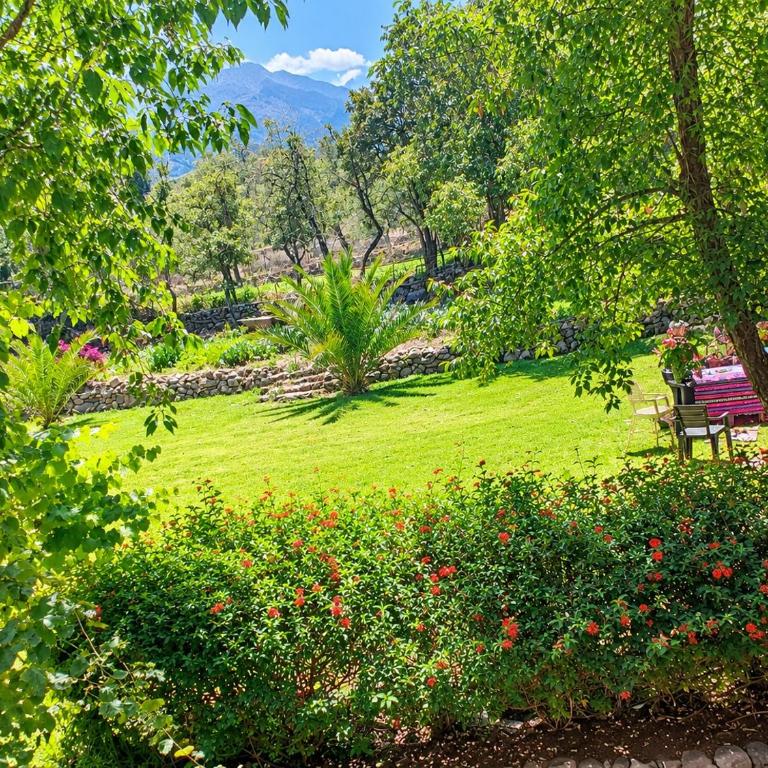 Tariq Sacred Valley - Superior Double Room with Two Double Beds - 11