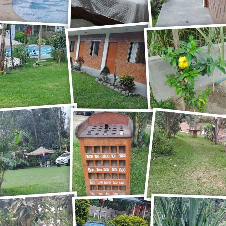 Hospedaje alfombra verde - Double Room - 4