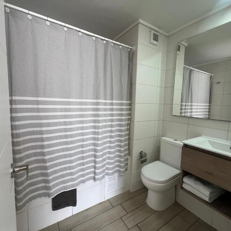 Comodo Departamento en Santiago Centro - Two-Bedroom Apartment - 22