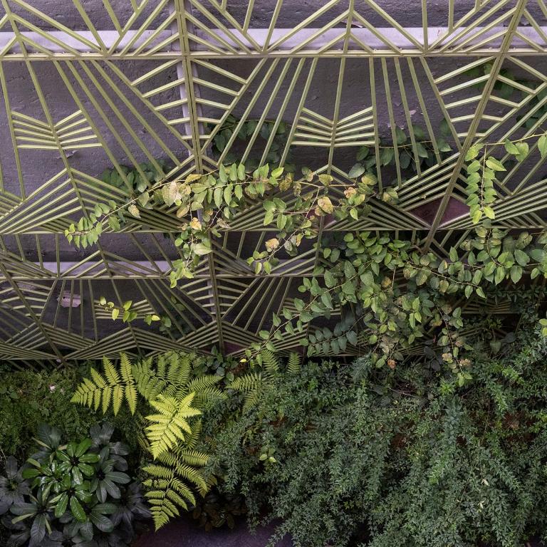 Colima 71 - Casa de Arte Hotel - Studio avec Terrasse - 4