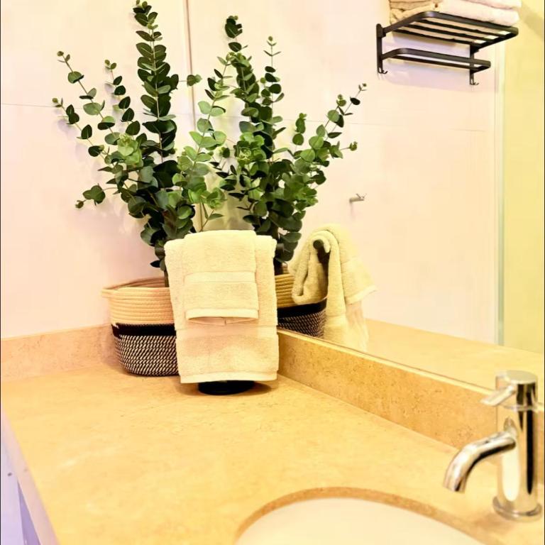 El Sol inn barranco pool ocean view free parking - Apartamento de 1 dormitorio - 21