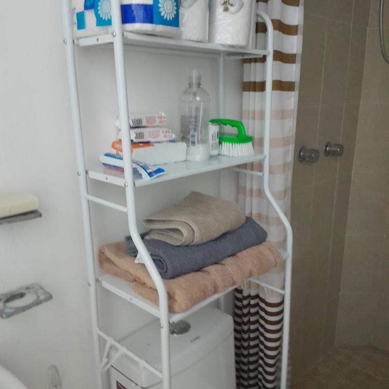 Fraccionamiento Las Garzas - Apartamento de 1 dormitorio - 8