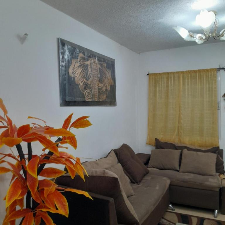 Fraccionamiento Las Garzas - Apartamento de 1 dormitorio - 12