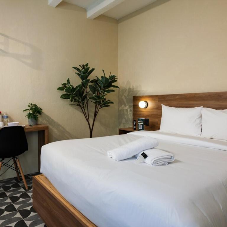 Hidalgo By Homirent - Apartamento de 1 dormitorio - 1
