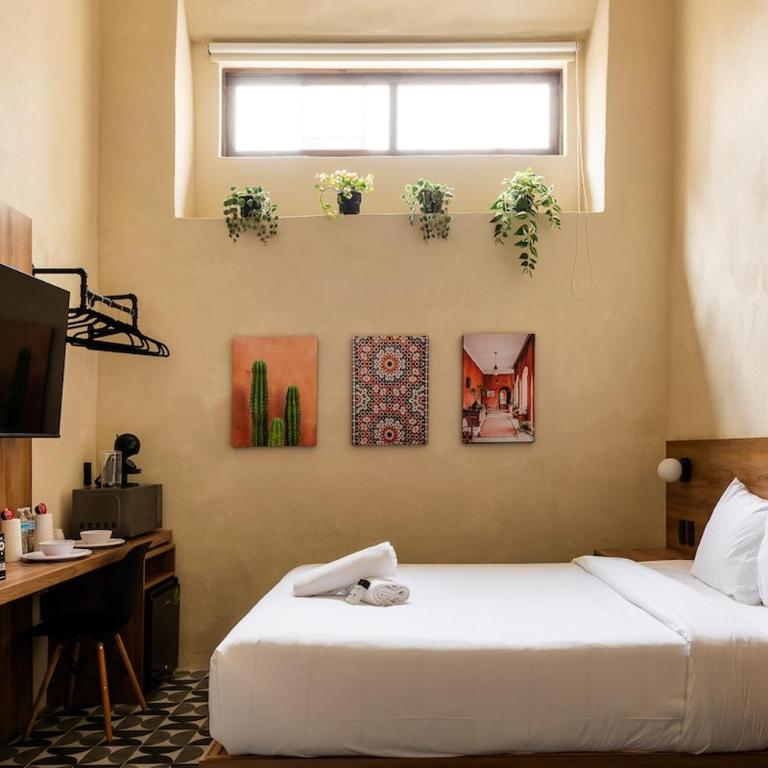 Hidalgo By Homirent - Apartamento de 1 dormitorio - 2
