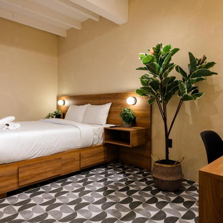 Hidalgo By Homirent - Apartamento de 1 dormitorio - 17