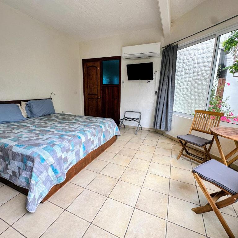 Hotel Allende - Habitación con cama extragrande. - 6