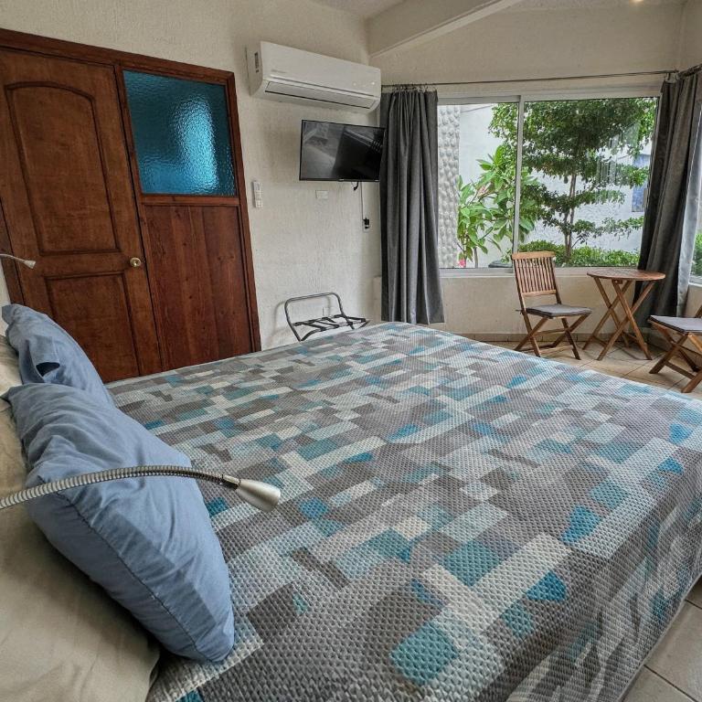 Hotel Allende - Habitación con cama extragrande. - 8