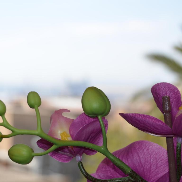 ApartSuits Tarragona Rambla Nova 24 - Apartamento Ático - 3