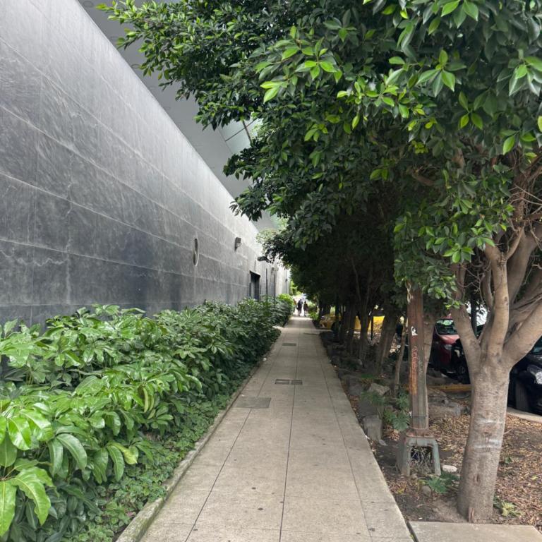 Loft centro CDMX - Apartment mit 1 Schlafzimmer - 6