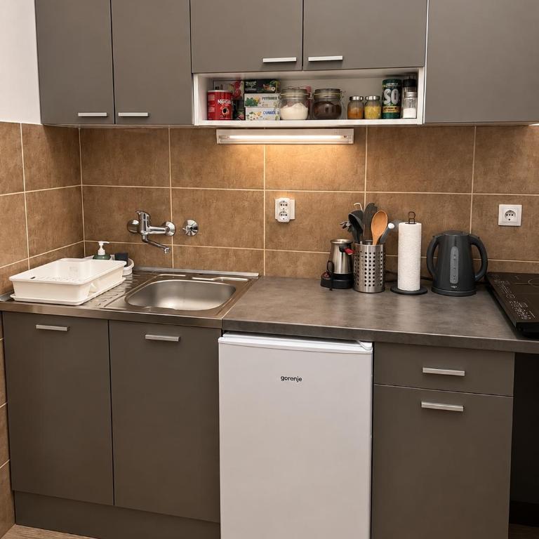 L Apartment Obilic - Studio - 5