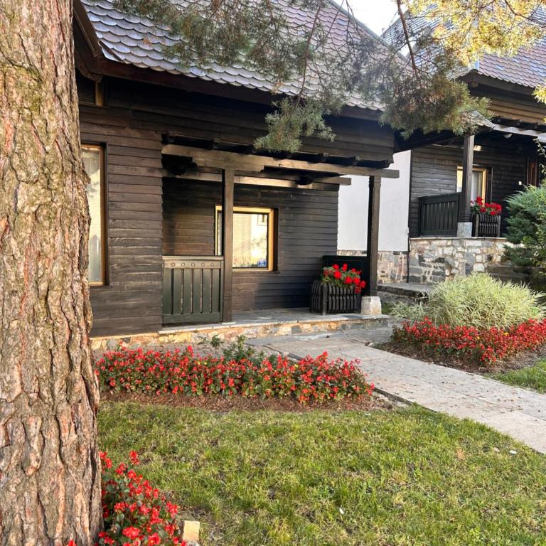 KRALjEVI KONACI ZLATIBOR - Maison de Vacances Standard 3 Chambres - 10
