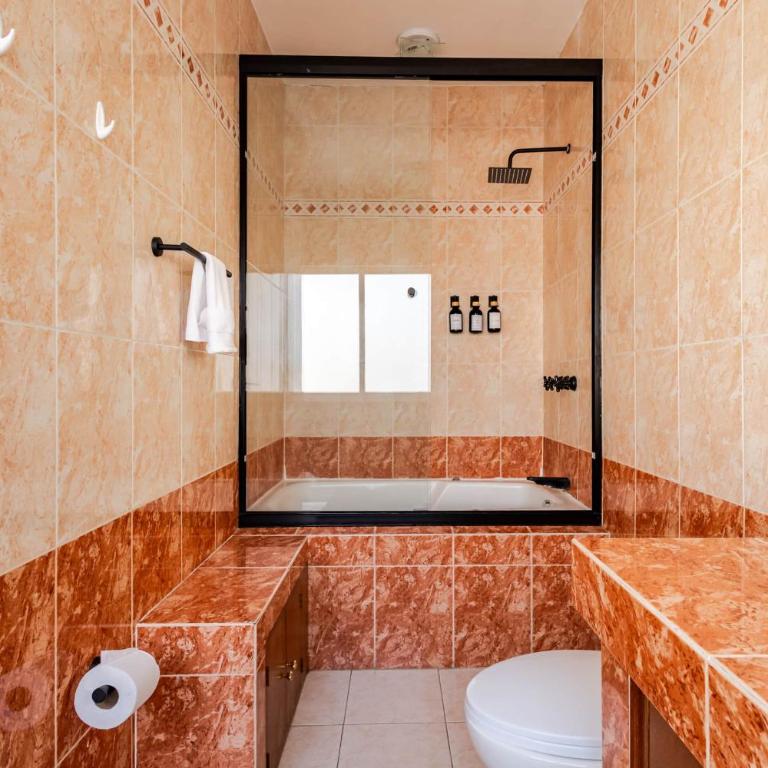 Beautiful 6 BDR Villa with AC in La Condesa - Villa - 15