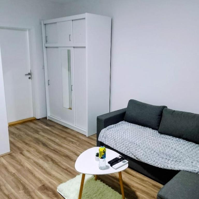 Apartman, stan u Novom Sadu zona mira apartman - Apartman sa 1 Spavaćom Sobom - 7