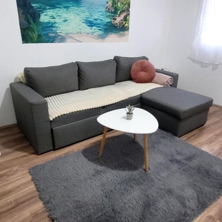 Apartman, stan u Novom Sadu zona mira apartman - Apartman sa 1 Spavaćom Sobom - 8