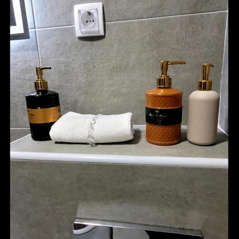 Apartman, stan u Novom Sadu zona mira apartman - Apartman sa 1 Spavaćom Sobom - 5