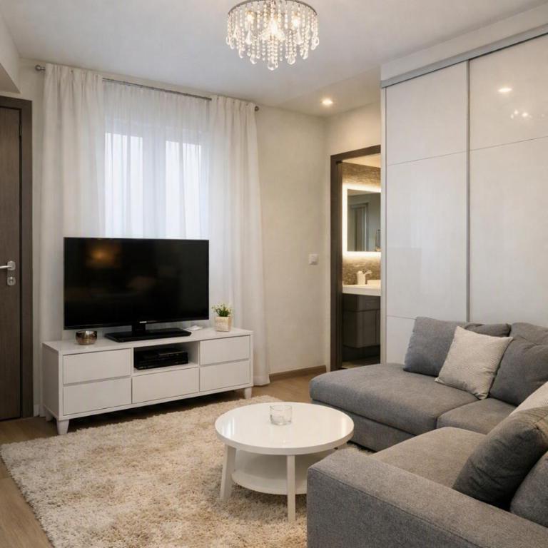 Apartman, stan u Novom Sadu zona mira apartman - Apartman sa 1 Spavaćom Sobom - 1