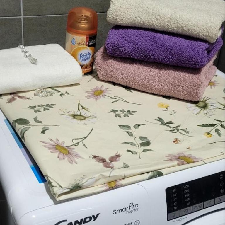 Apartman, stan u Novom Sadu zona mira apartman - Apartman sa 1 Spavaćom Sobom - 12