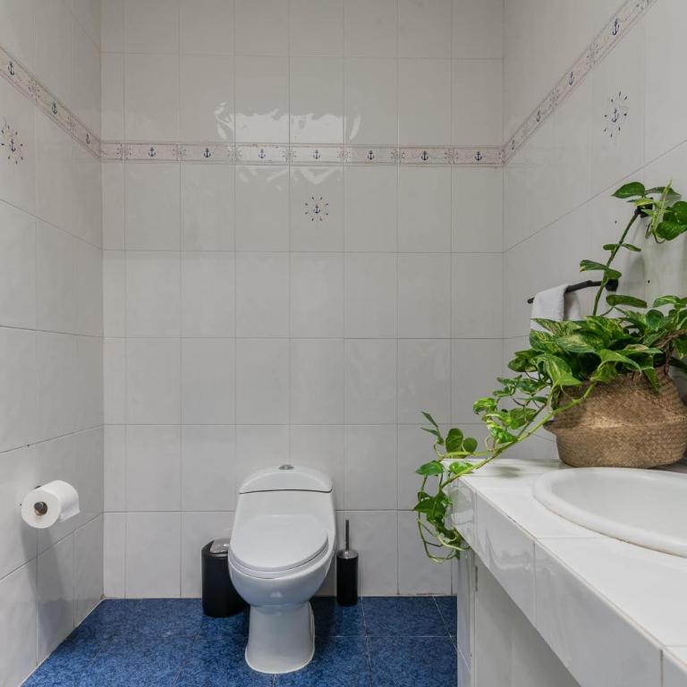 Beautiful 6 BDR Villa with AC in La Condesa - Villa - 64
