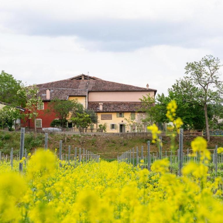Agriturismo Bonettone - Großes Doppelzimmer - 2