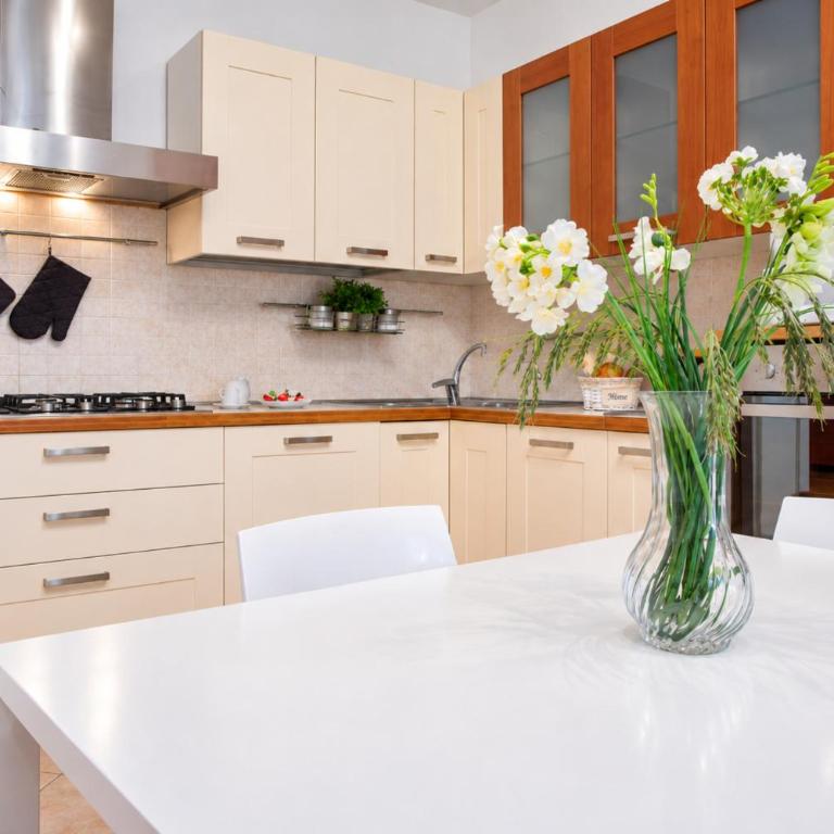 Elena Oasis Apartments - Appartamento con Balcone - 5