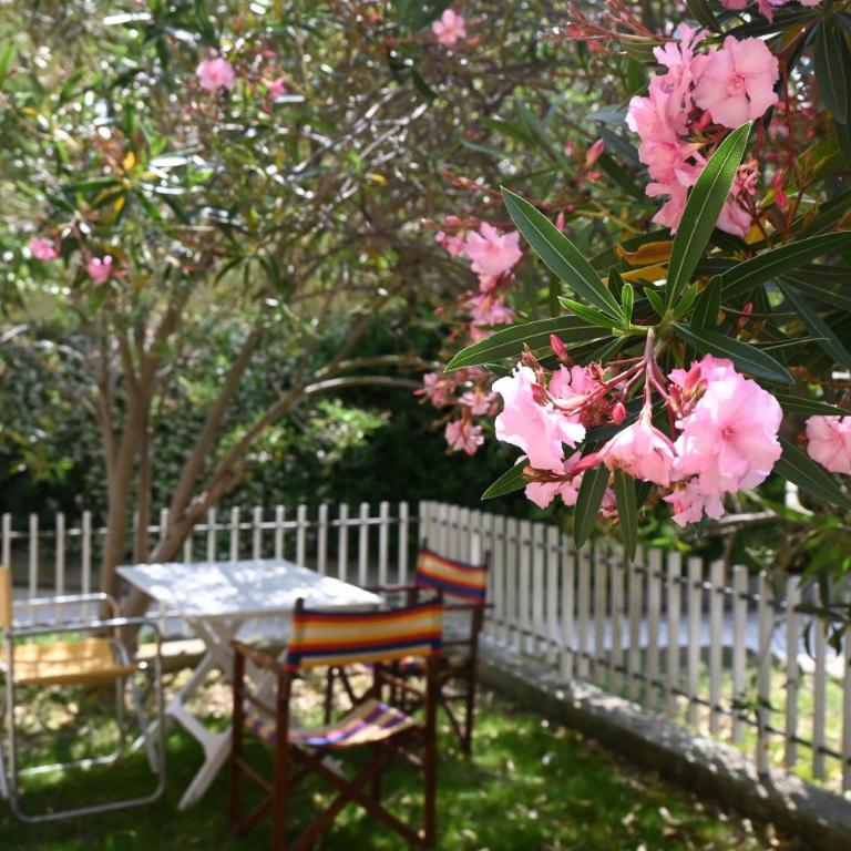N303 - Comodo appartamento con giardino a Numana - Two-Bedroom Apartment - 1