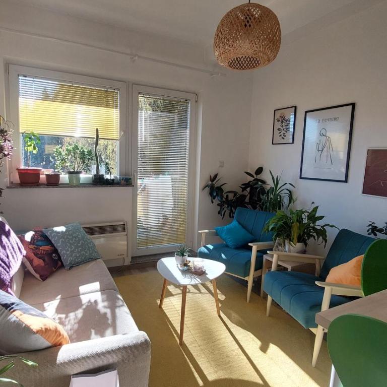 Apartman Šareni kutak Pale - Apartment mit 1 Schlafzimmer - 10